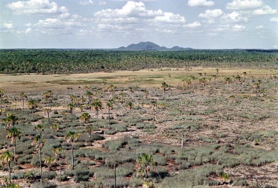 Caracaraí