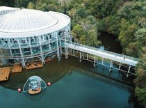 Curitiba: Uma Harmonia Entre Beleza Urbana e Natureza